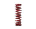 1200.250.0200 - 12 in. X 200 lb. COIL OVER SPRING